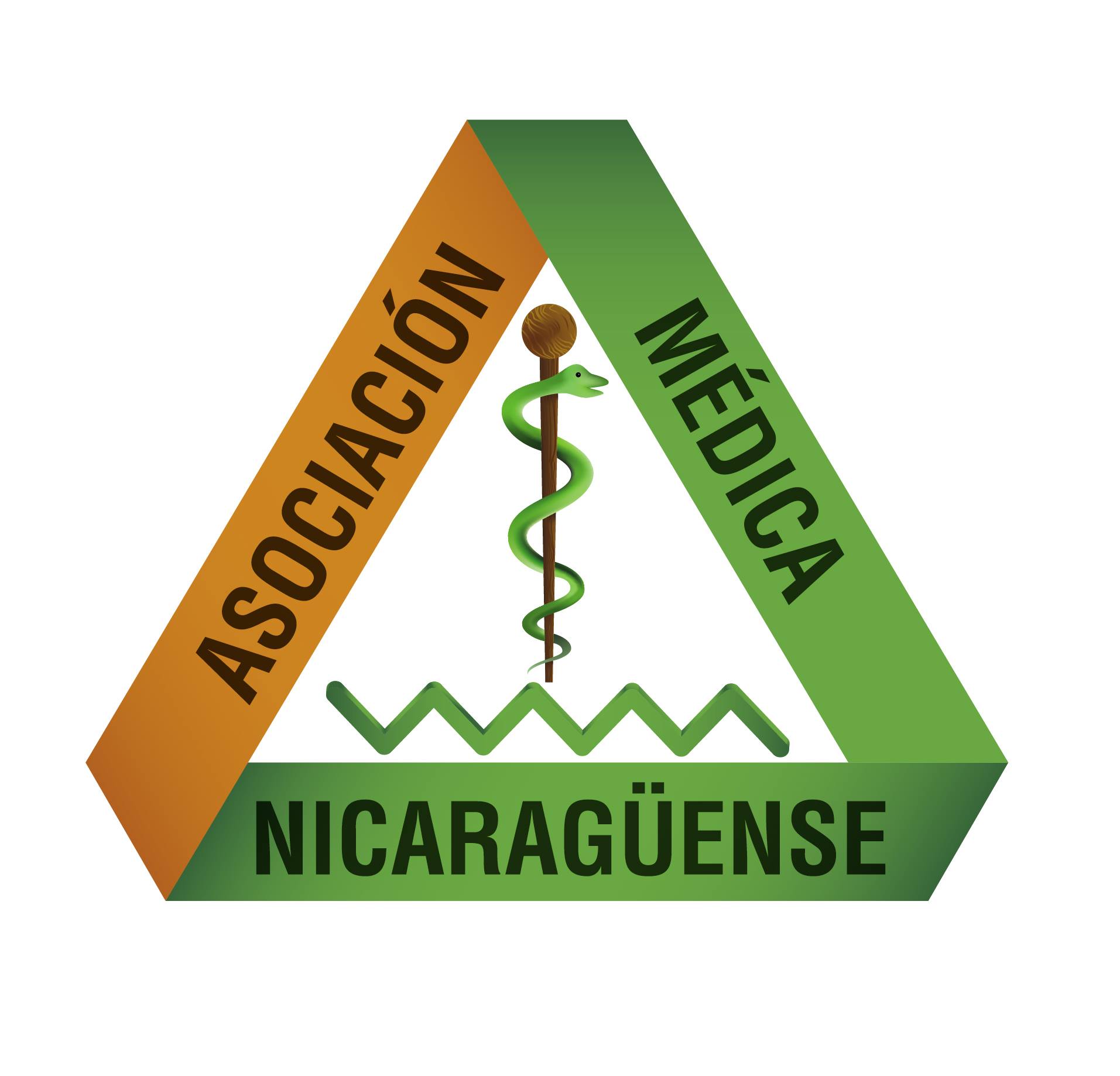 Asociación Médica Nicaragüense